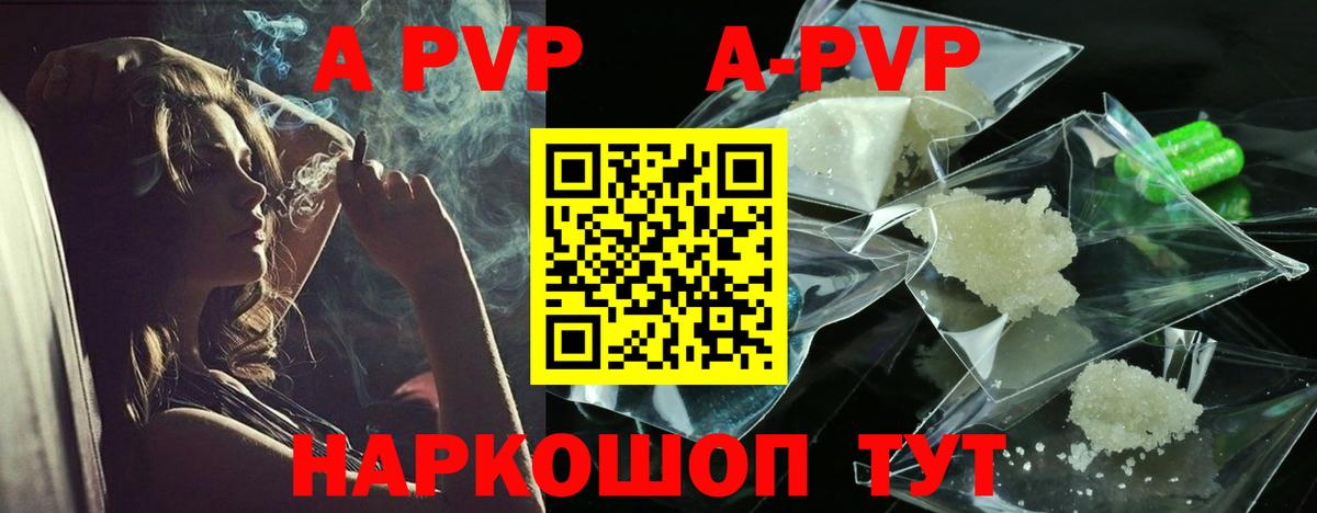 Альфа ПВП СК КРИС Чита