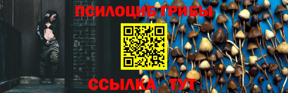 где купить наркоту  Галлюциногенные грибы GOLDEN TEACHER  Псилоцибиновые грибы Psilocybine cubensis  Вход с VPN  Чита 
