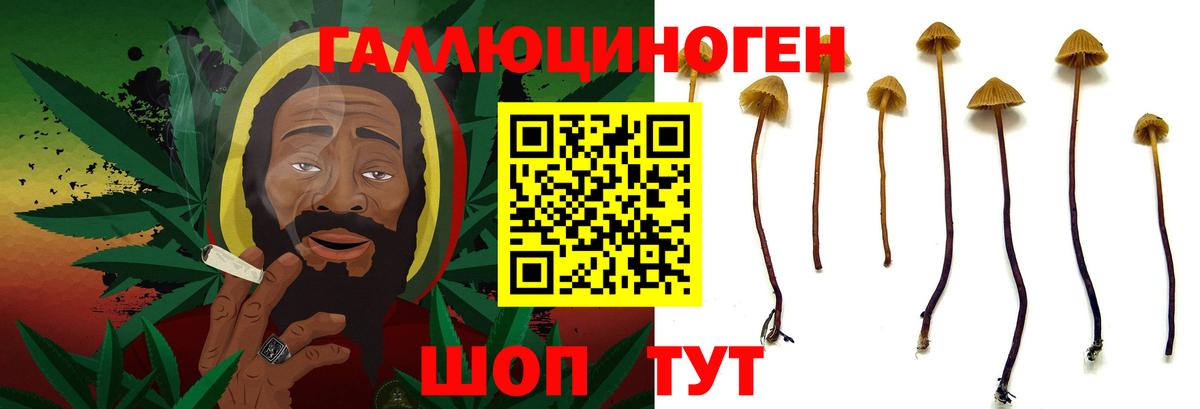 Псилоцибиновые грибы мицелий Чита